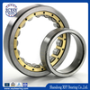 1000 Series Cylindrical Roller Bearings