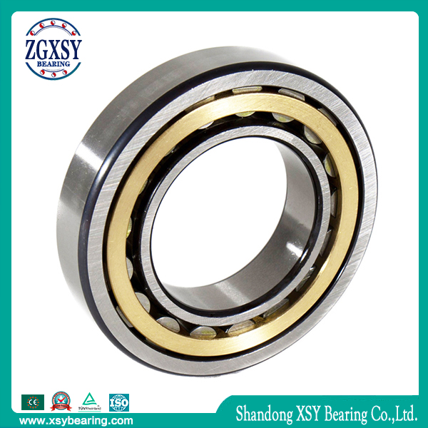 Nj220 Ecm Cylindrical Roller Bearing Nu 220 Ecm/C3vl0241 Insulated Bearing