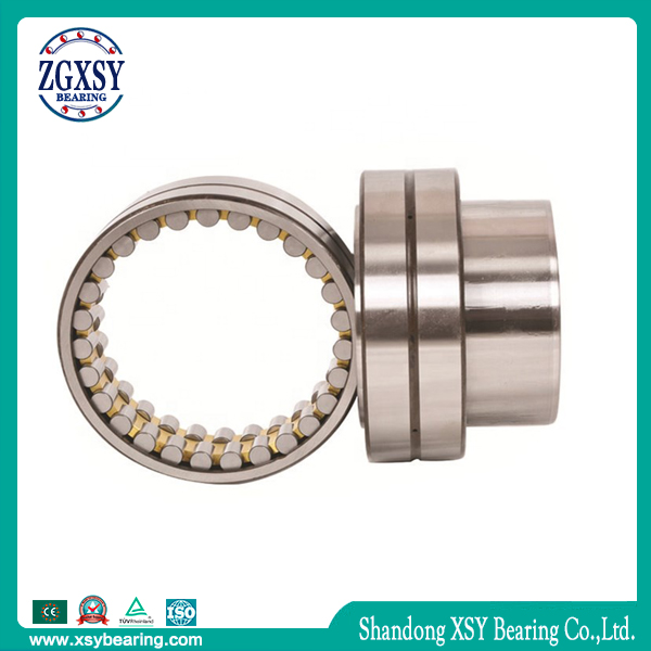 Zgxsy Cylindrical Roller Bearing NF217m Printing Machine Bearing