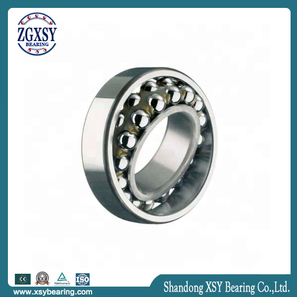 Zgxsy High Precision Japan Brand Self-Aligning Ball Bearing 1300 1301 1302 1303 1304 1305 