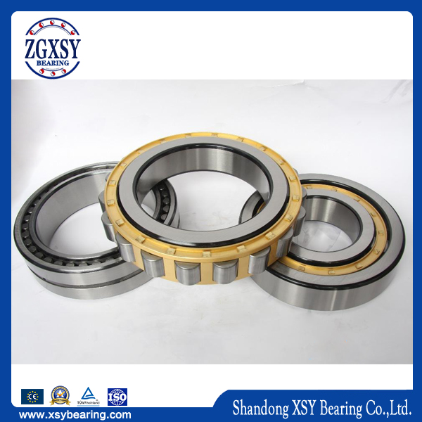 Polyamide Made Cage Nu206e. Tvp2 India Single-Row Cylindrical Roller Bearing Nu206