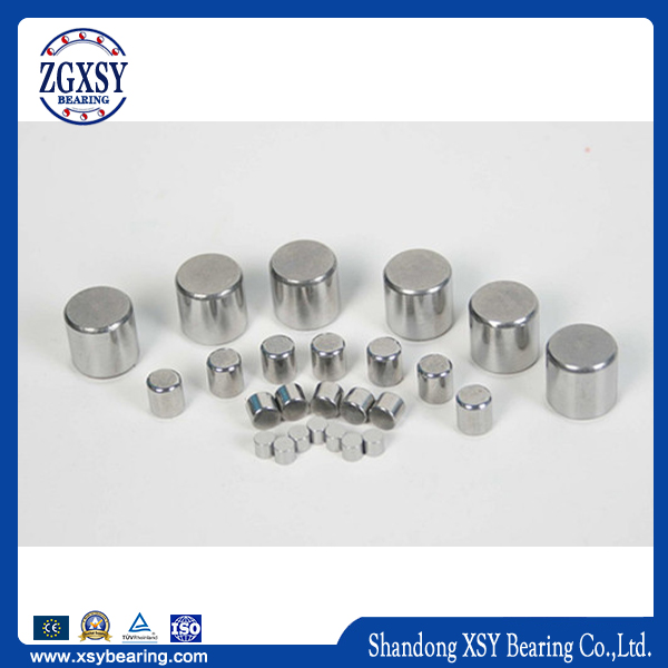 Any Size Any Quantity Supply Bearing Rollers Large Stock for Cylindrical Needle Thrust Roller Bearing