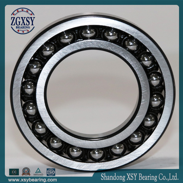 Self-Aligning Ball Bearing 1309 Double Row Stainless Steel Ball Bearing