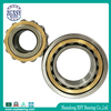 Zgxsy Cylindrical Roller Bearing Nu2204e