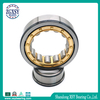 Double Column Integral Eccentric Cylindrical Roller Bearing