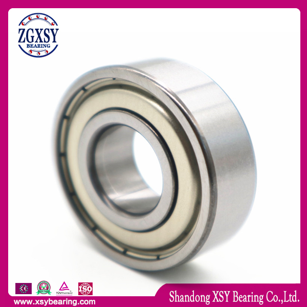 6004-2RS Deep Groove Ball Bearing Made in China