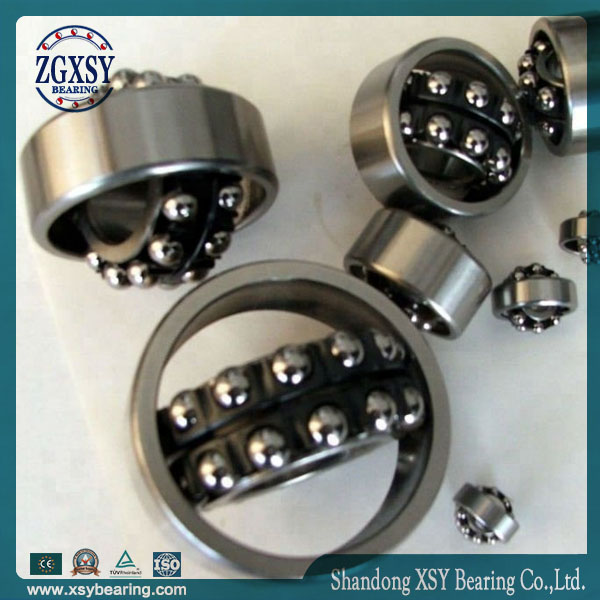 Zgxsy High Precision Japan Brand Self-Aligning Ball Bearing 1300 1301 1302 1303 1304 1305 